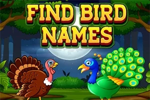 To fugle, en kalkun og en påfugl, står i en skov med en stor måne i baggrunden, og teksten FIND BIRD NAMES er øverst