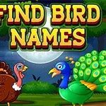 To fugle, en kalkun og en påfugl, står i en skov med en stor måne i baggrunden, og teksten FIND BIRD NAMES er øverst