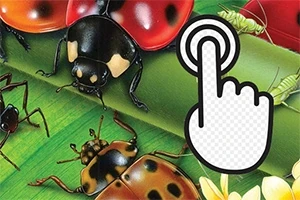 Tegning af forskellige insekter på grønne blade, herunder mariehøner og en stor hånd-ikon, der peger