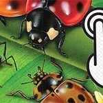 Tegning af forskellige insekter på grønne blade, herunder mariehøner og en stor hånd-ikon, der peger