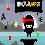En lille, sortklædt ninja med rød pandebånd er omgivet af frugter og stjerner i en tegneserieagtig baggrund med bjerge og hav